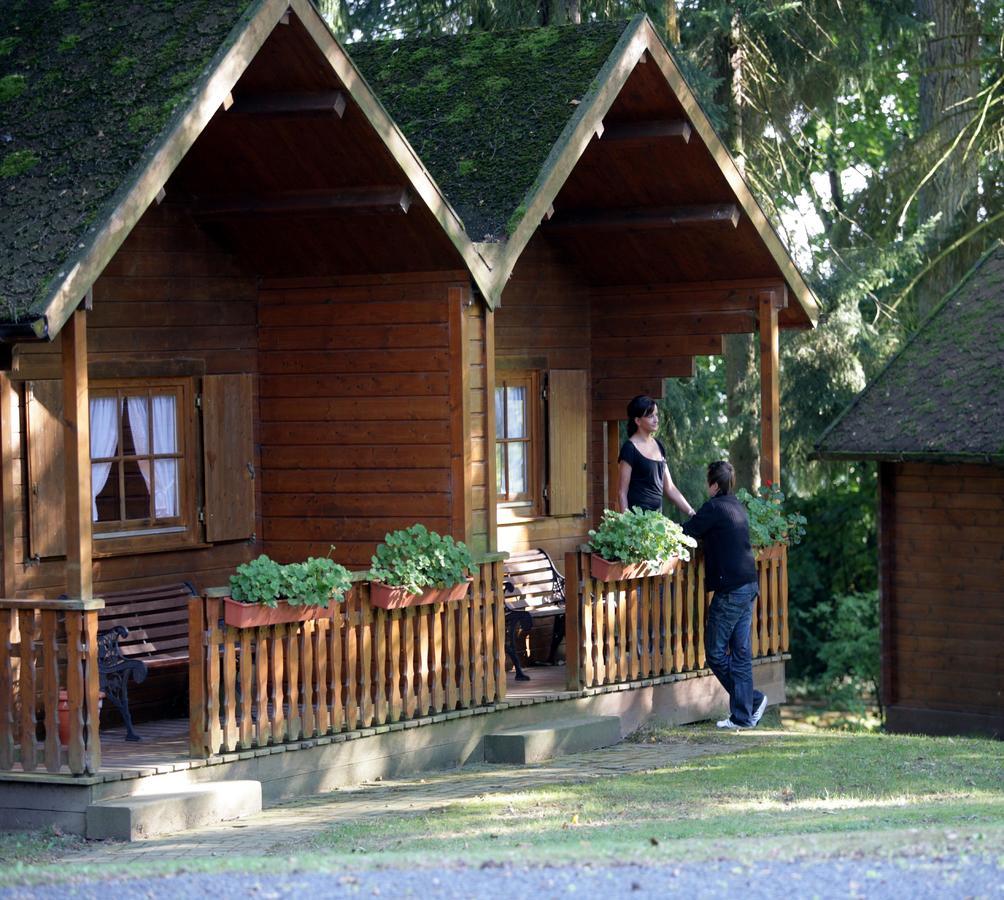 Villa Silva Uslar Exteriér fotografie